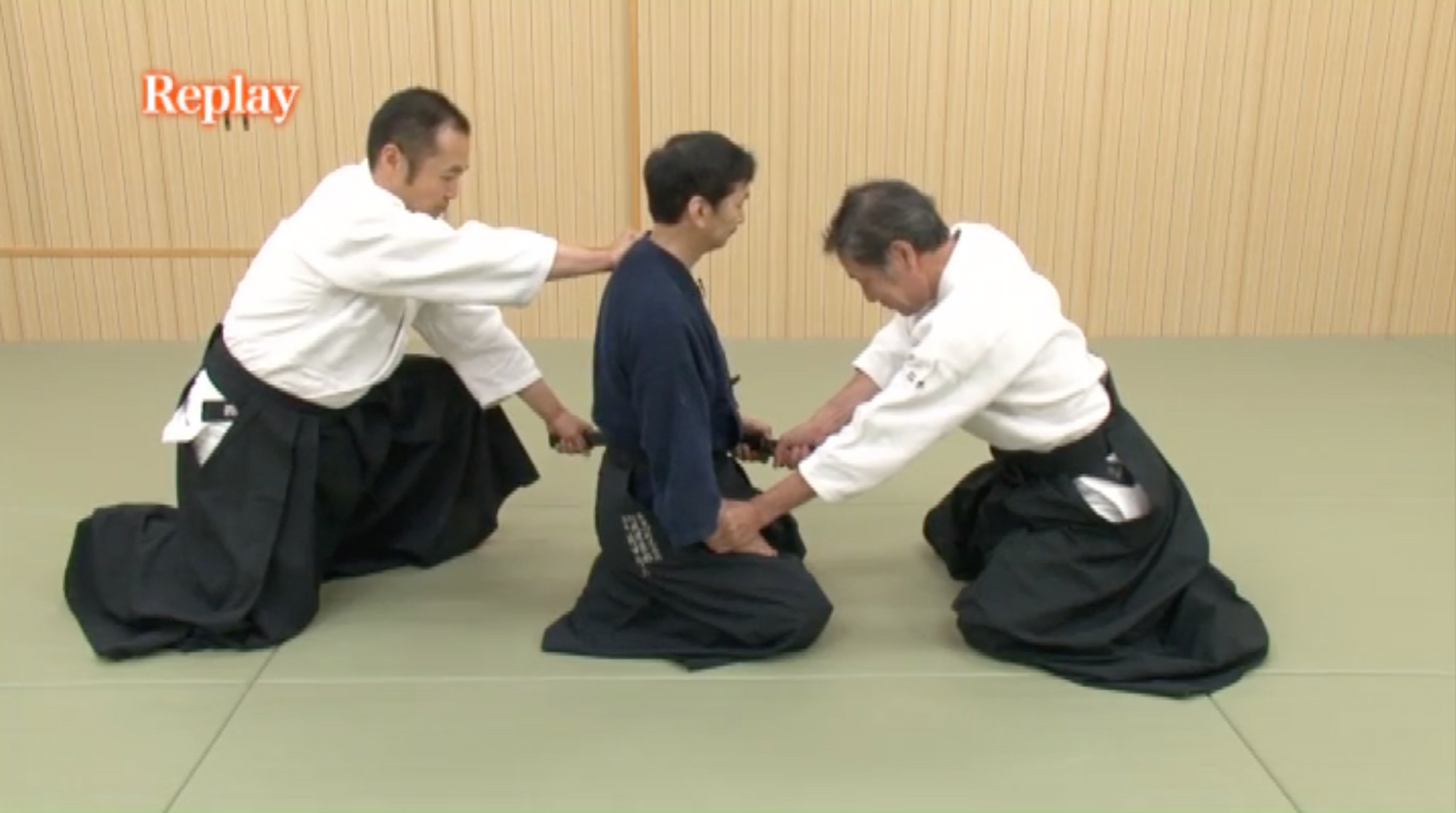 Daito Ryu Aikijujutsu Iaishinken Ryu Aiki No Iai DVD with Shudai Makita - Budovideos Inc