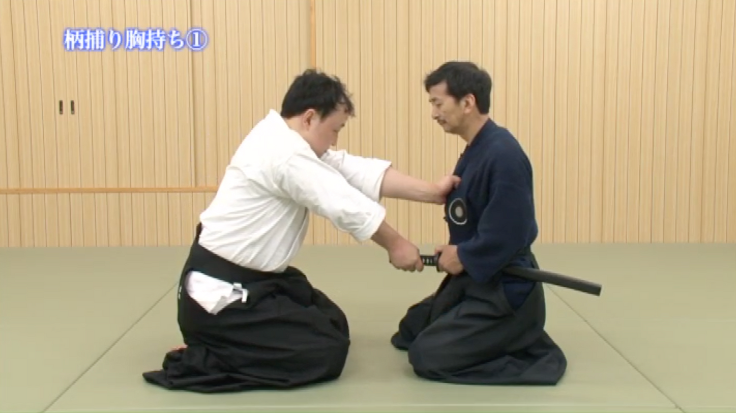 Daito Ryu Aikijujutsu Iaishinken Ryu Aiki No Iai DVD with Shudai Makita - Budovideos Inc