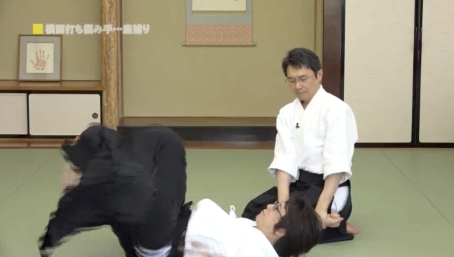 How to Develop Aiki in Daito Ryu DVD by Hiromichi Matsumura - Budovideos Inc