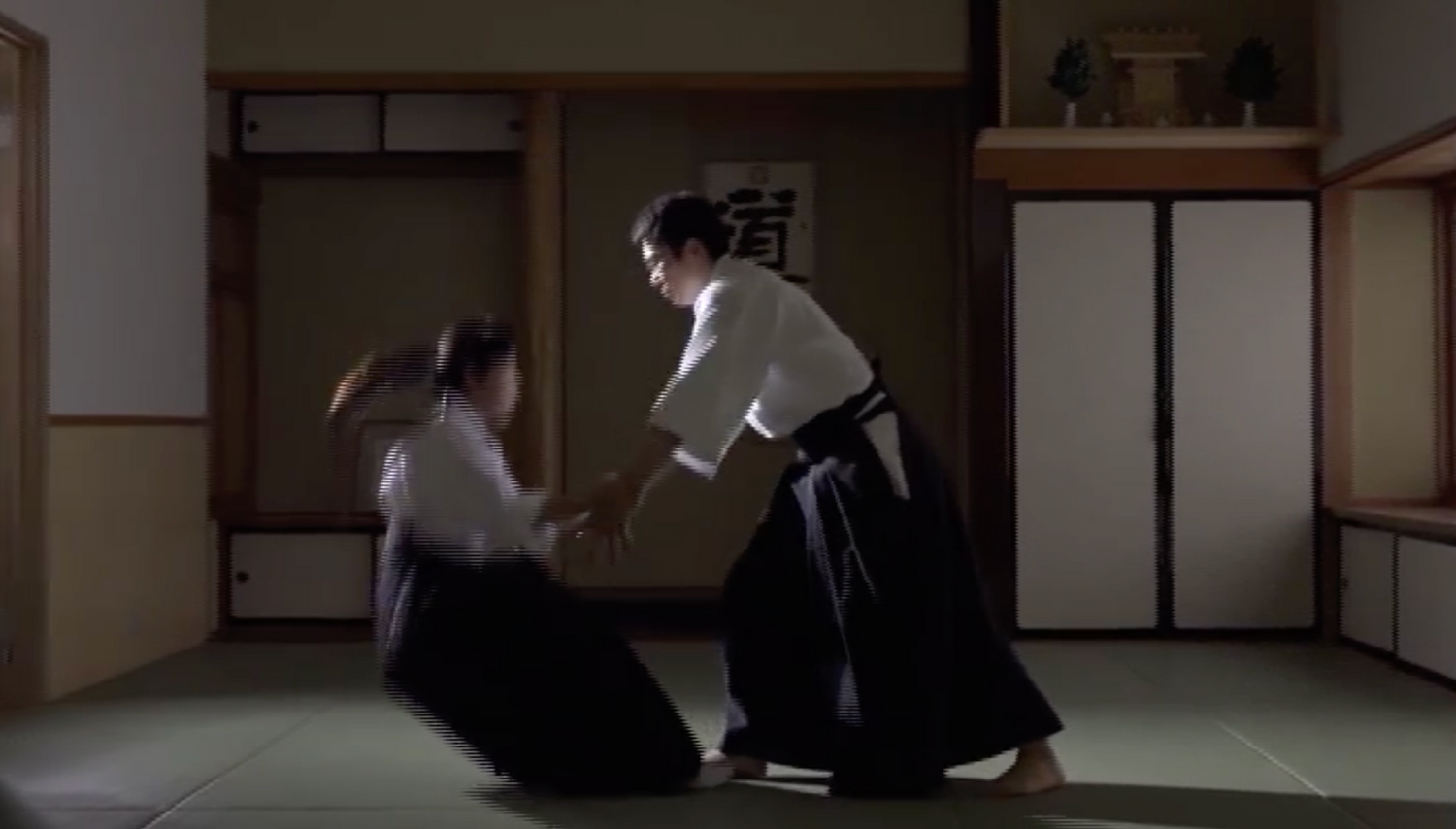 How to Develop Aiki in Daito Ryu DVD by Hiromichi Matsumura - Budovideos Inc