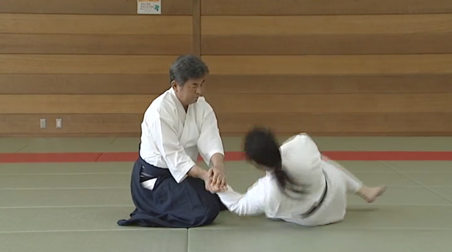 Fusion of Daito-ryu Matsuda Den & Sagawa Den DVD 1: Basics with Yoichi Shiosaka - Budovideos Inc