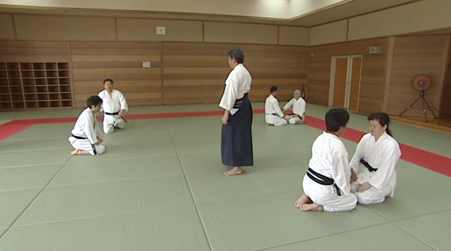 Fusion of Daito-ryu Matsuda Den & Sagawa Den DVD 1: Basics with Yoichi Shiosaka - Budovideos Inc