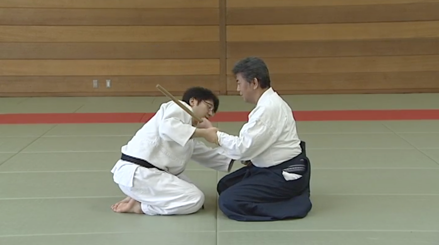 Fusion of Daito-ryu Matsuda Den & Sagawa Den DVD 2: Advanced with Yoichi Shiosaka - Budovideos Inc