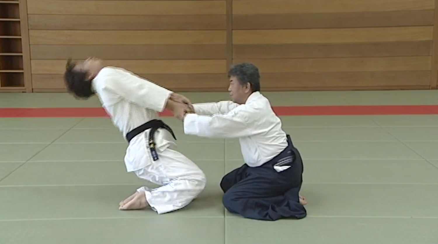 Fusion of Daito-ryu Matsuda Den & Sagawa Den DVD 2: Advanced with Yoichi Shiosaka - Budovideos Inc