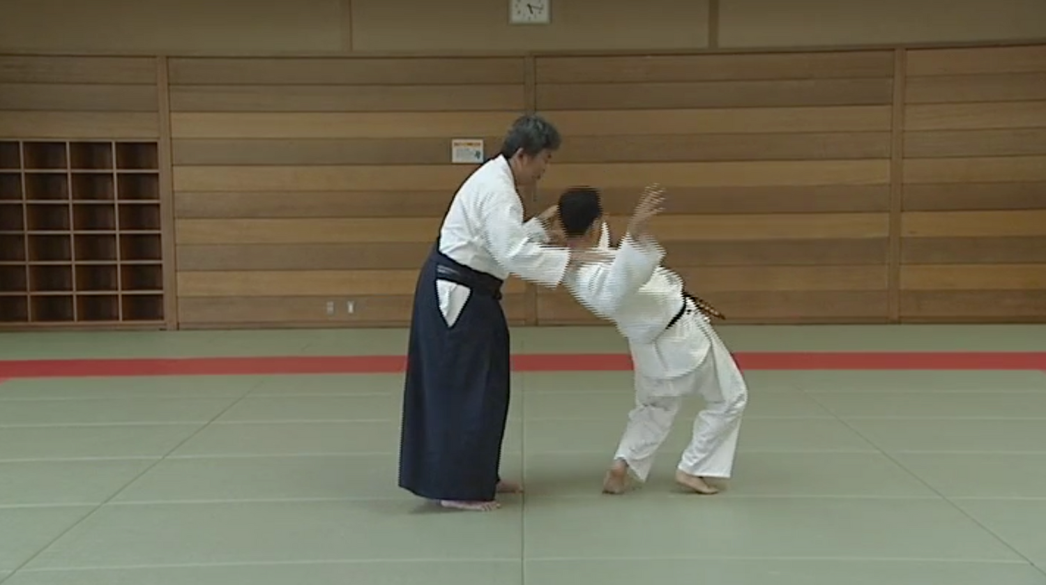 Fusion of Daito-ryu Matsuda Den & Sagawa Den DVD 2: Advanced with Yoichi Shiosaka - Budovideos Inc