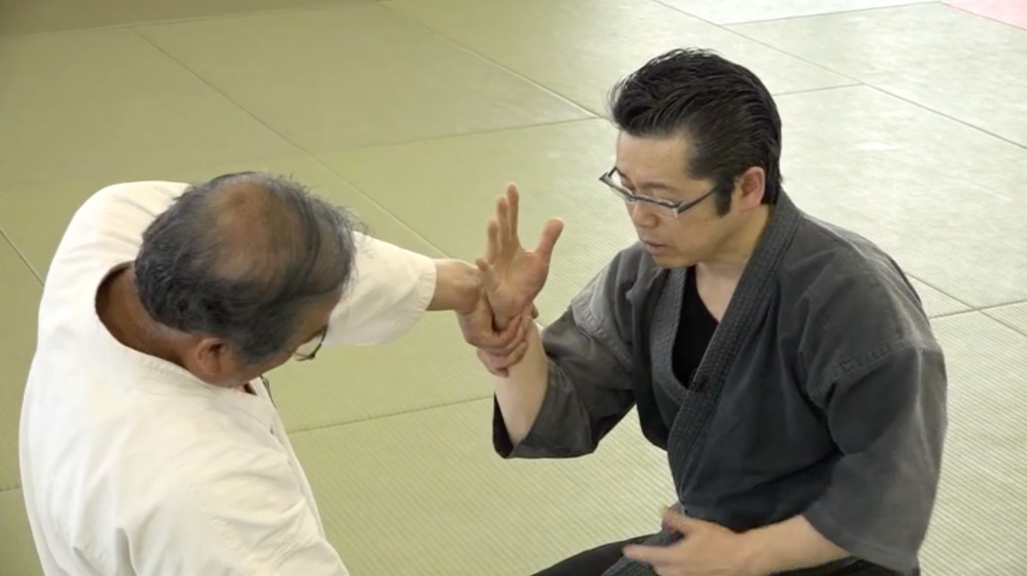 Daito Ryu Aikijujutsu Renshinkan Seated Techniques DVD 1 by Michio Takase - Budovideos Inc
