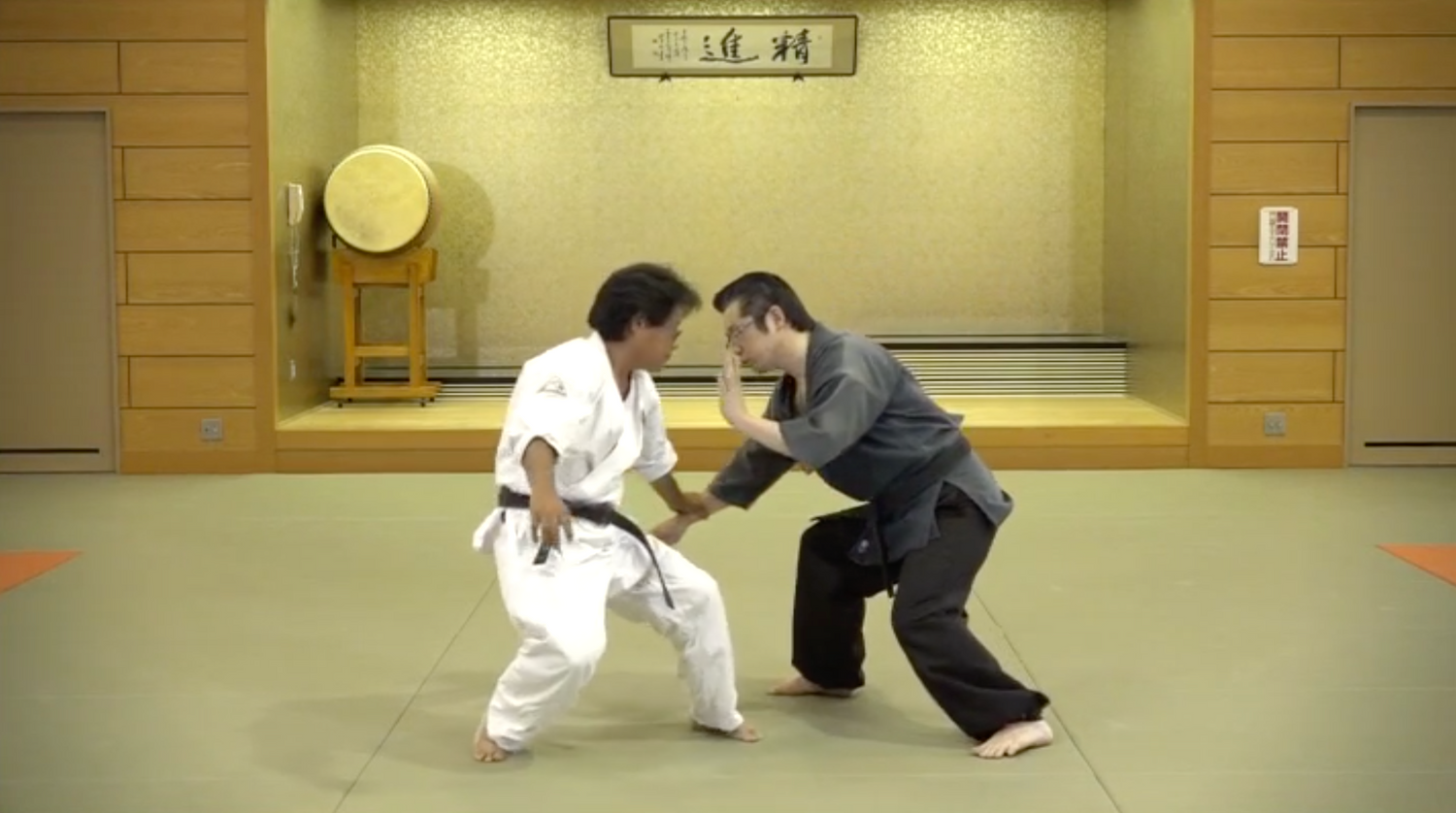 Daito Ryu Aikijujutsu Renshinkan Standing Techniques DVD 2 by Michio Takase - Budovideos Inc