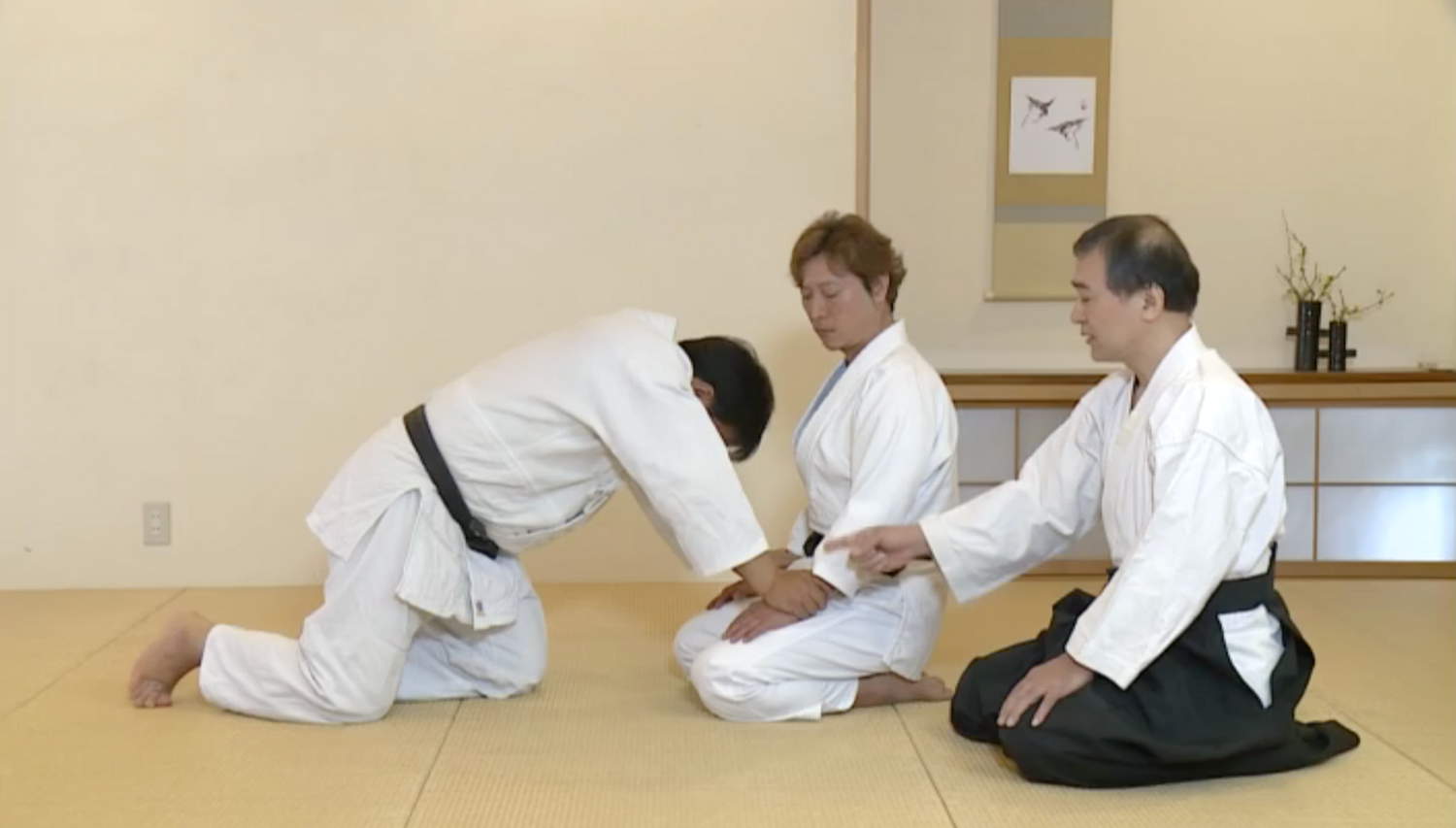 Daito Ryu Aikijujutsu: How to Practice Aiki Age Vol 2 DVD by Shoji Arimitsu - Budovideos Inc