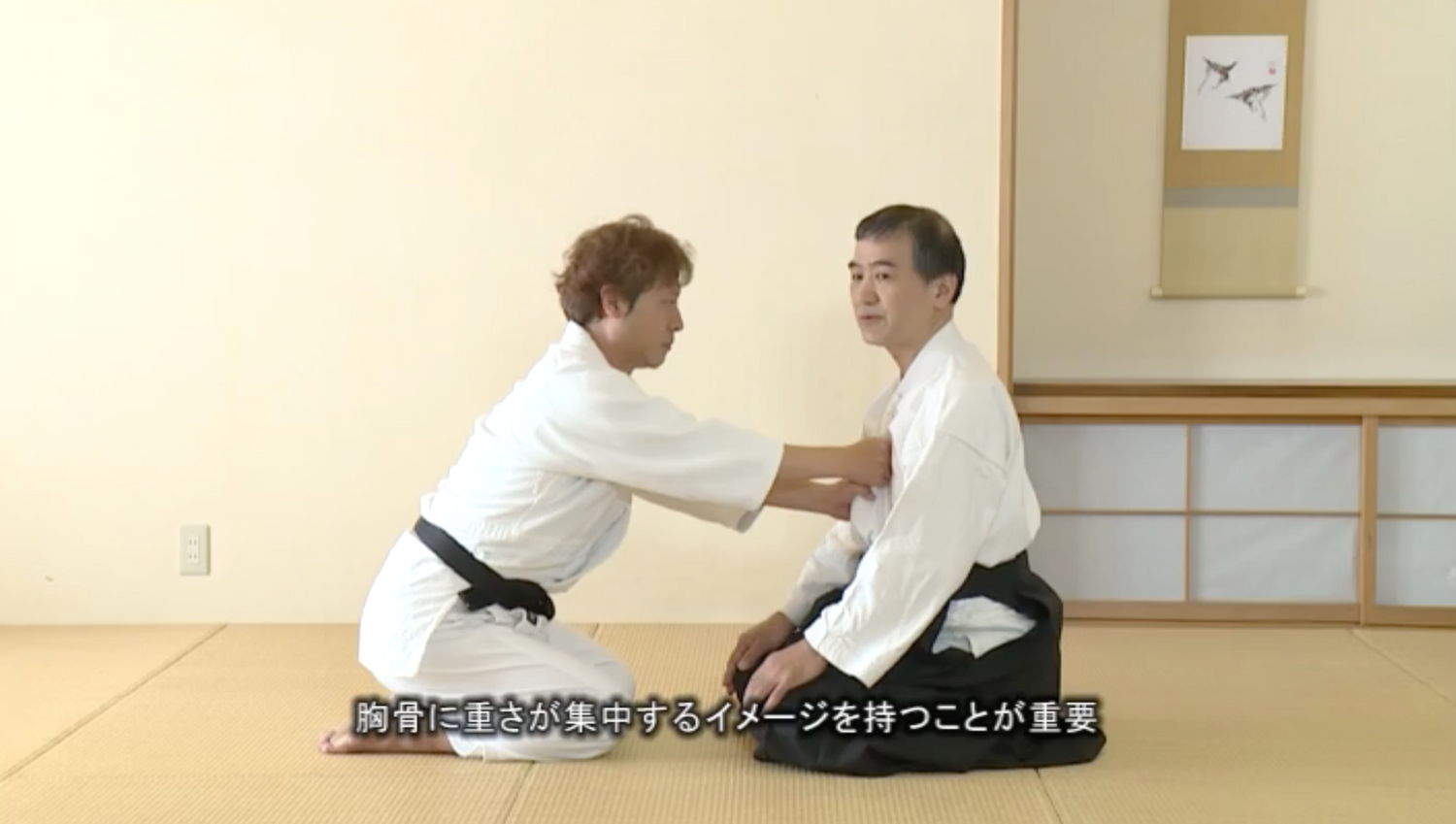 Daito Ryu Aikijujutsu: How to Practice Aiki Age Vol 2 DVD by Shoji Arimitsu - Budovideos Inc