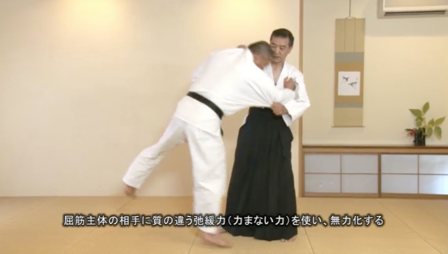 Daito Ryu Aikijujutsu: How to Practice Aiki Age Vol 1 DVD by Shoji Arimitsu - Budovideos Inc