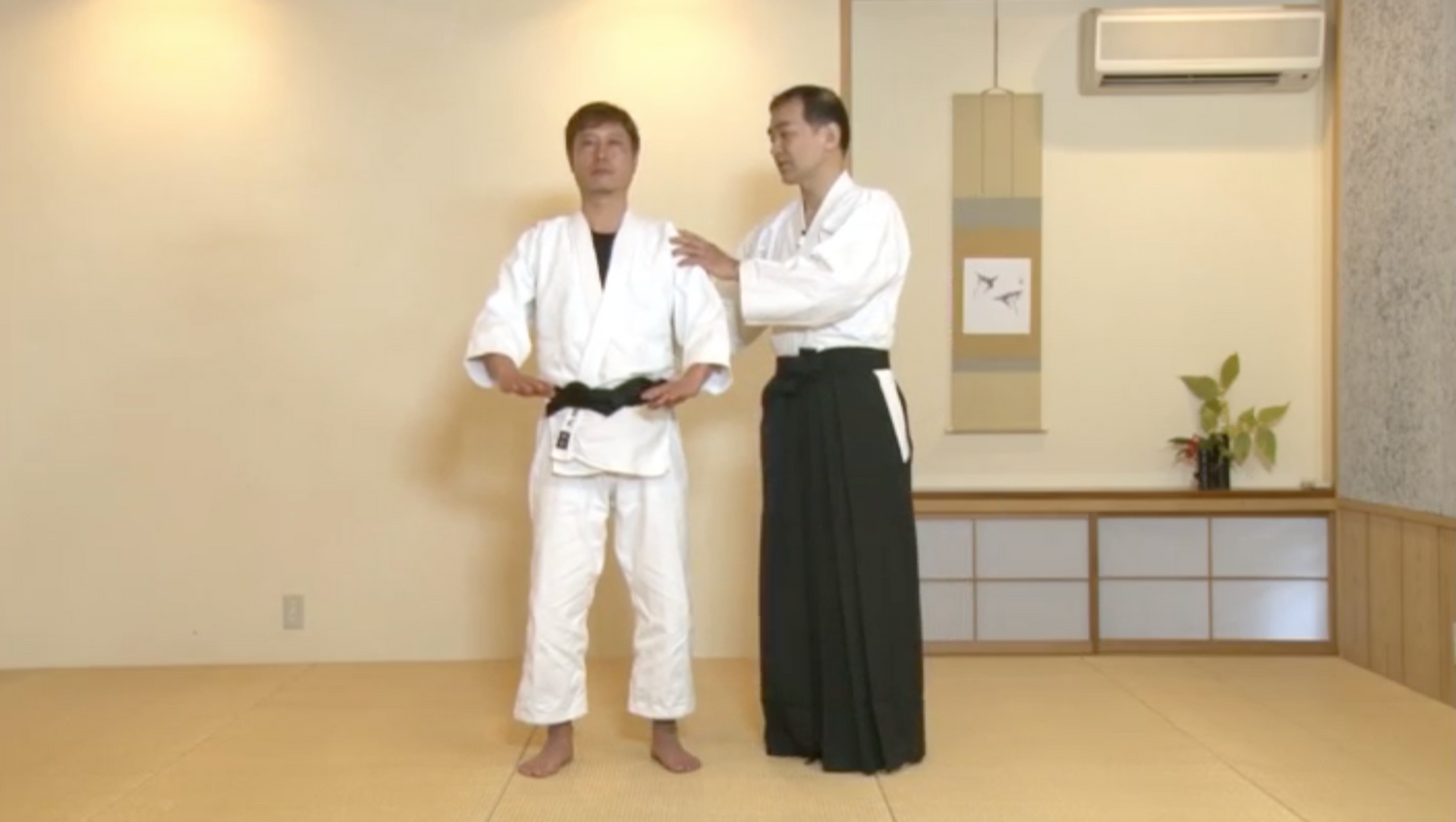 Daito Ryu Aikijujutsu: How to Practice Aiki Age Vol 1 DVD by Shoji Arimitsu - Budovideos Inc