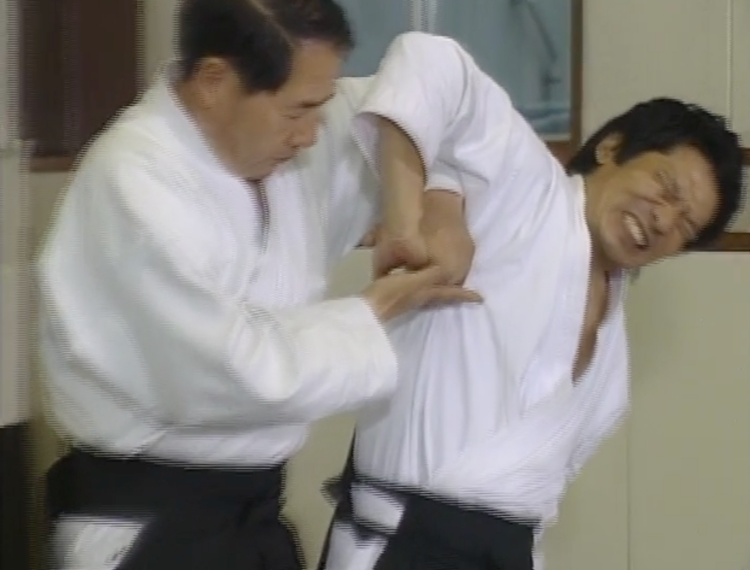 Daito Ryu Aikijujutsu DVD by Katsuyuki Kondo - Budovideos Inc