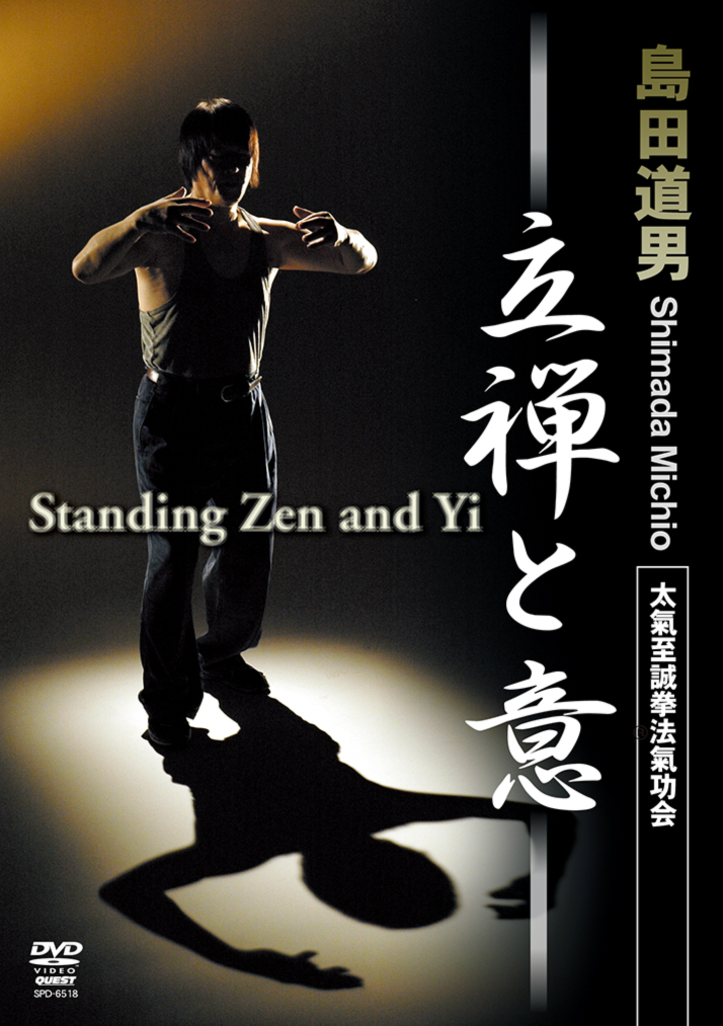 Standing Zen & Yi DVD with Michio Shimada - Budovideos Inc