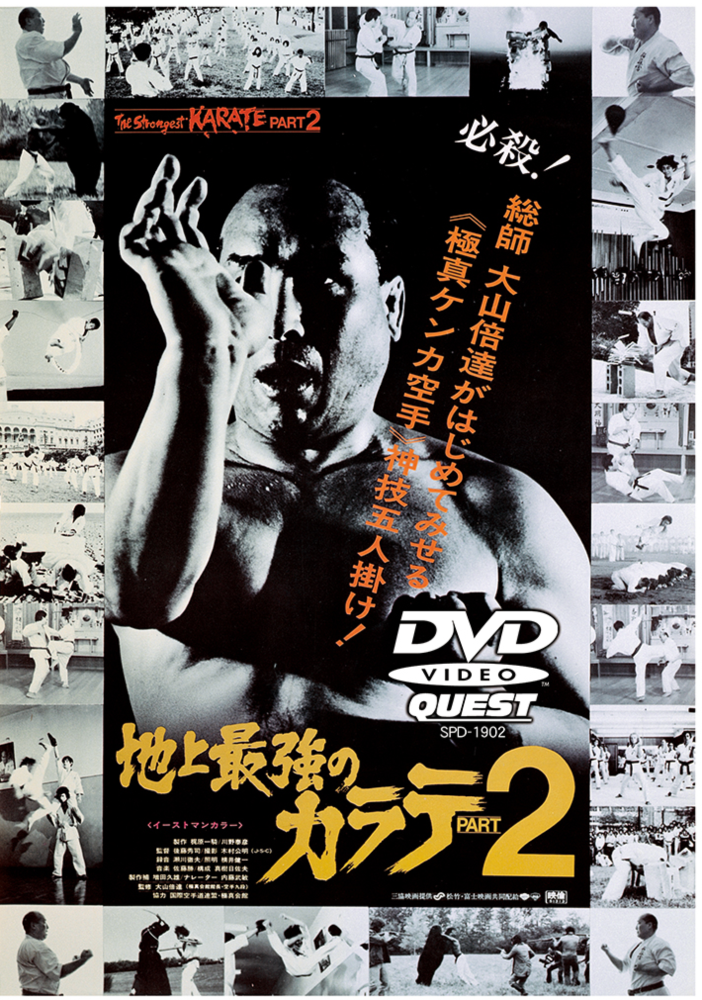 Strongest Karate Kyokushin Documentary 4 DVD Box Set (Region 2) - Budovideos