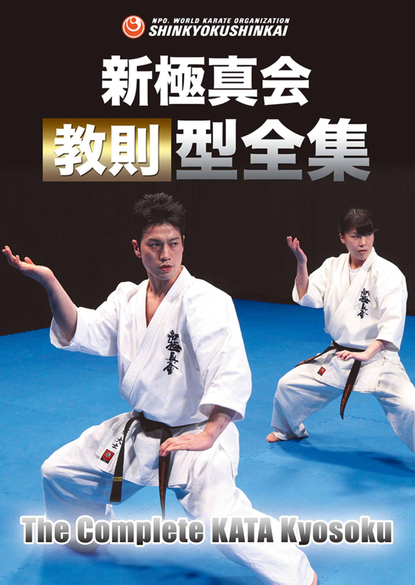 Shinkyokushinkai Karate Complete Kata 2 DVD Set - Budovideos