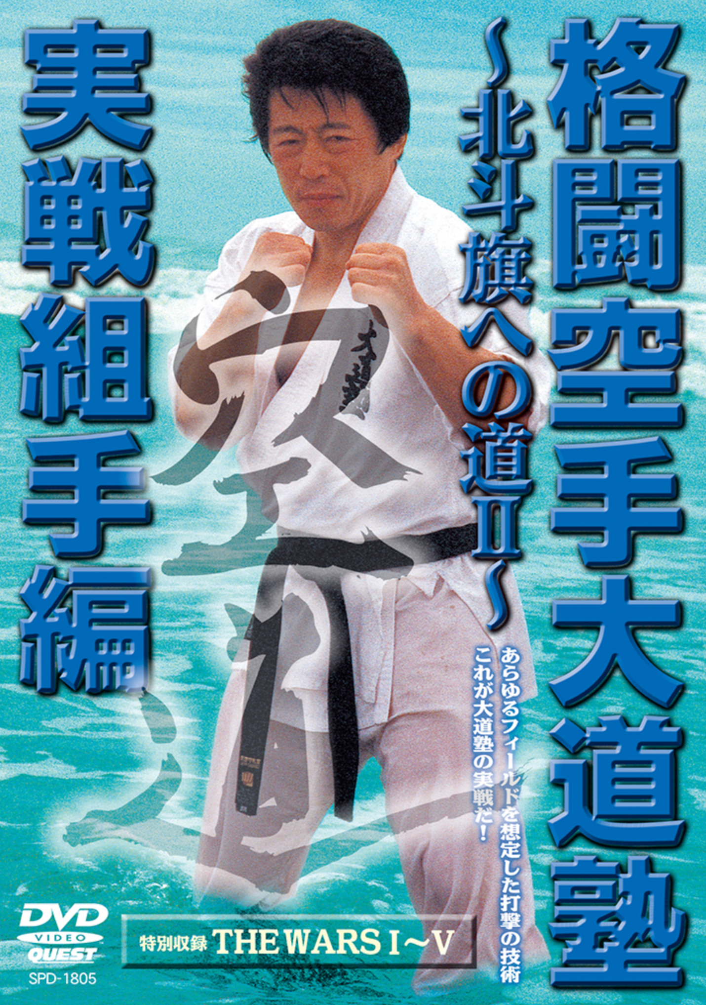 Kakuto Karate Daidojuku Vol 2 DVD - Budovideos Inc