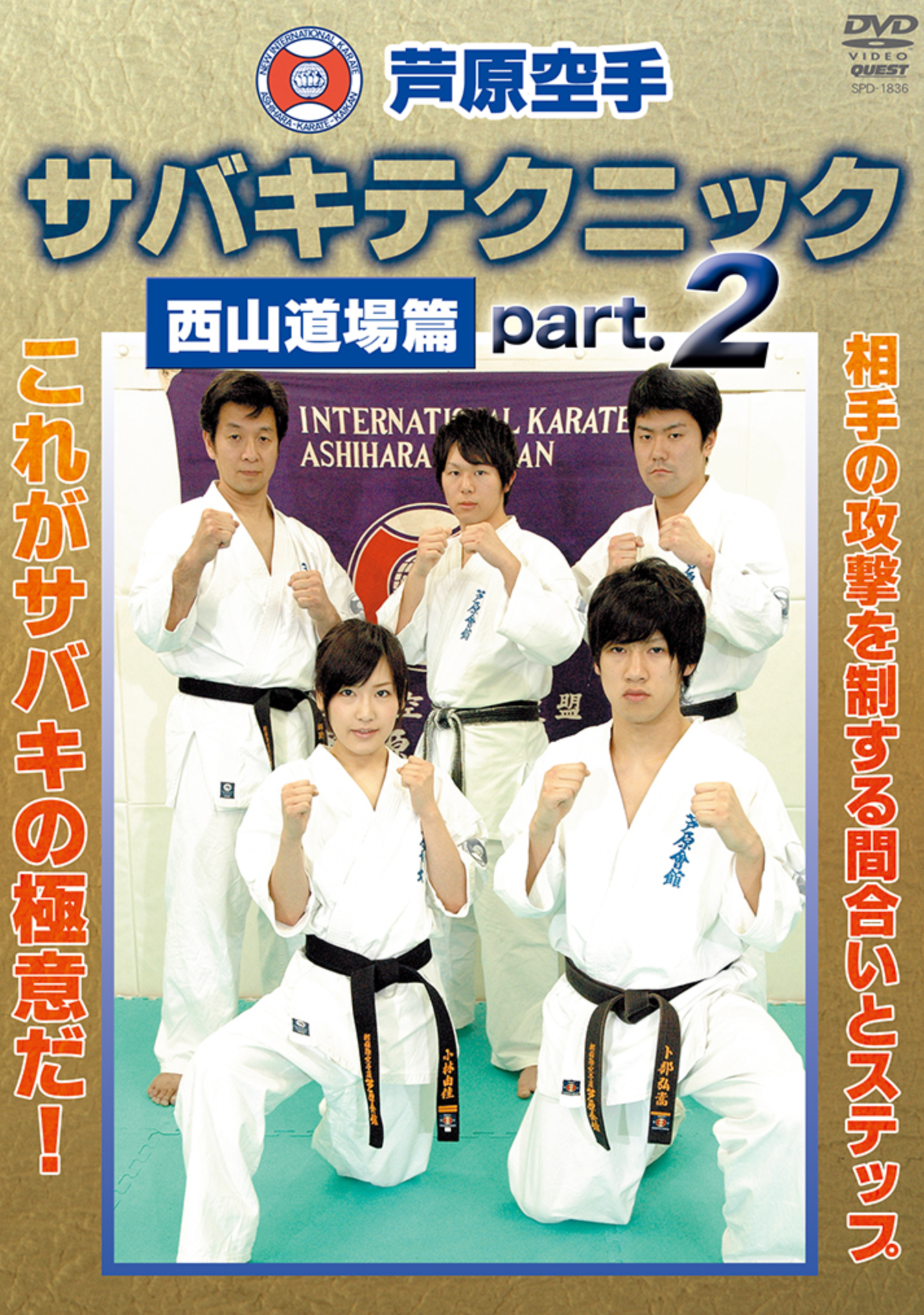 Ashihara Kaikan Sabaki Technique Vol 2 DVD by Toru Nishiyama - Budovideos Inc
