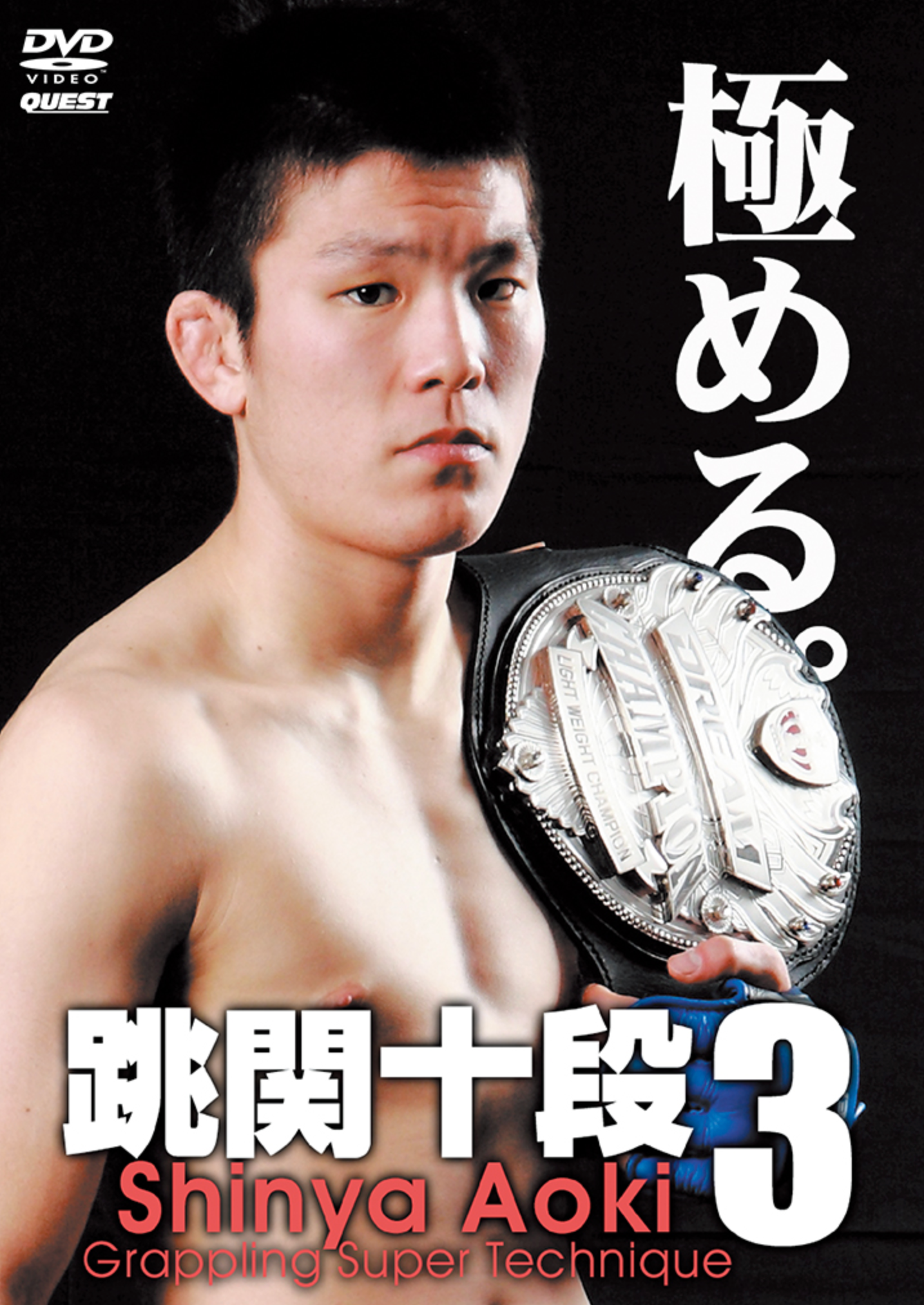 Super Grappling Techniques Vol 3 DVD by Shinya Aoki - Budovideos Inc