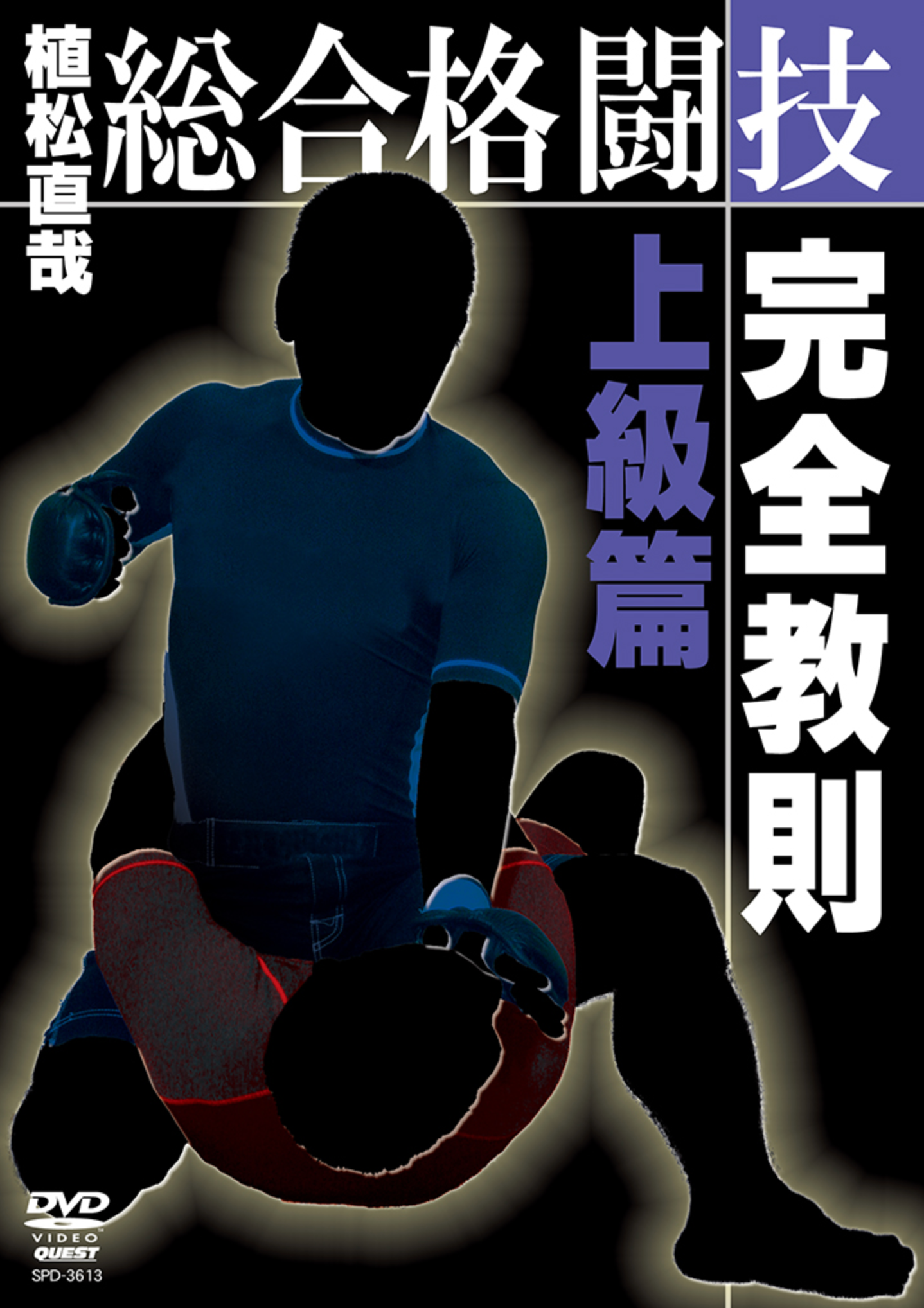 Complete Advanced MMA Instruction by Naoya Uematsu - Budovideos Inc