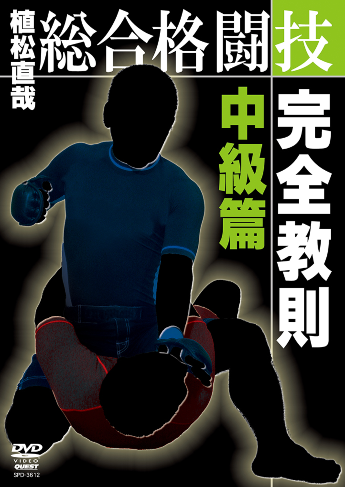 Complete Intermediate MMA Instruction by Naoya Uematsu - Budovideos Inc