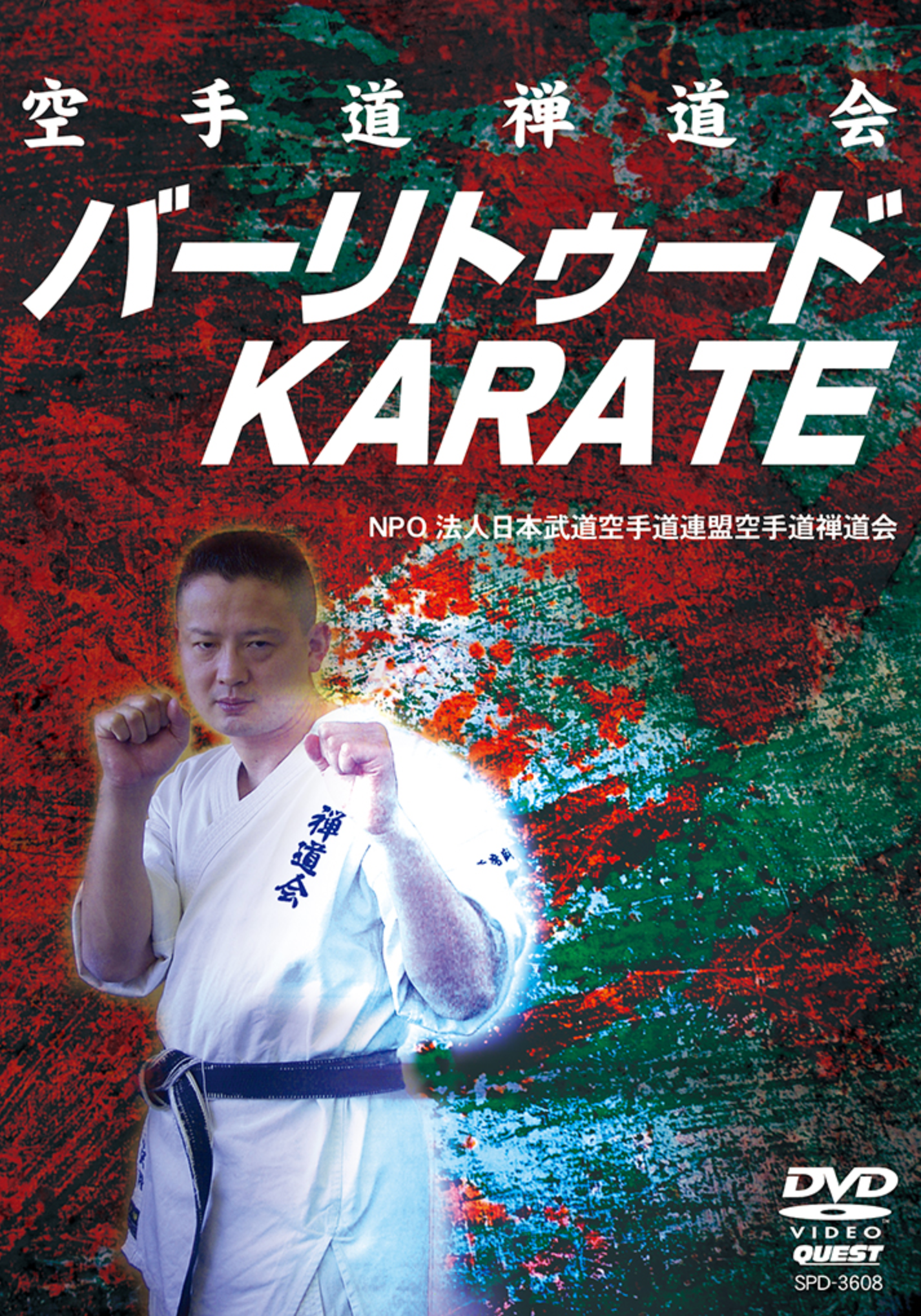 Vale Tudo Karate DVD by Takashi Ozawa - Budovideos Inc