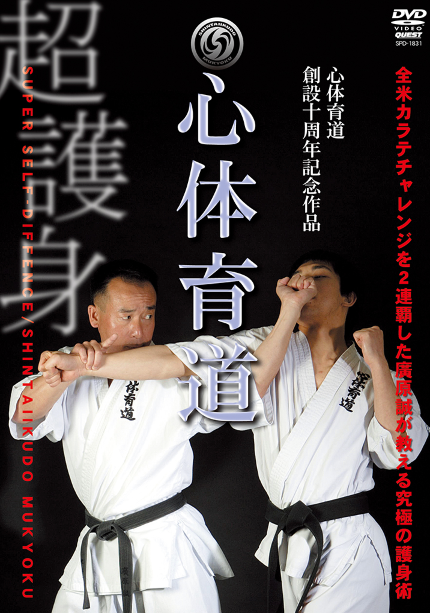 Shintaikudo DVD with Makoto Hirohara - Budovideos