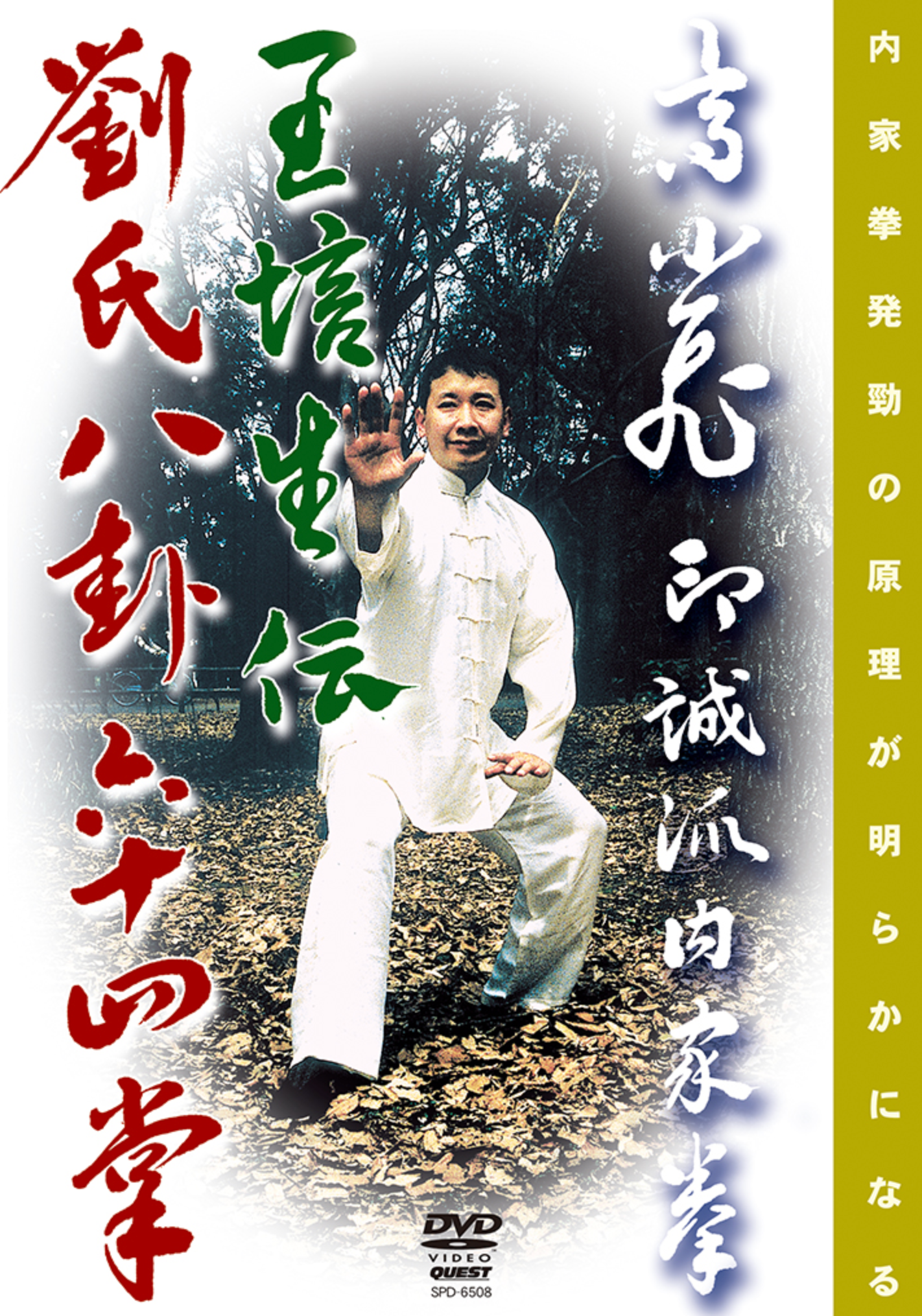 Obaisho Den Ryushi Bagua 64 Palms DVD by Kou Shouhi - Budovideos Inc