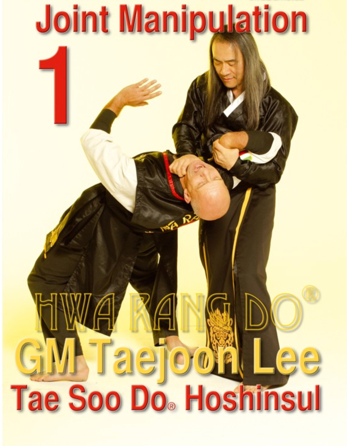 Hwa Rang Do Hoshinsul Vol 1 Joint Manipulation DVD by Taejoon Lee - Budovideos Inc