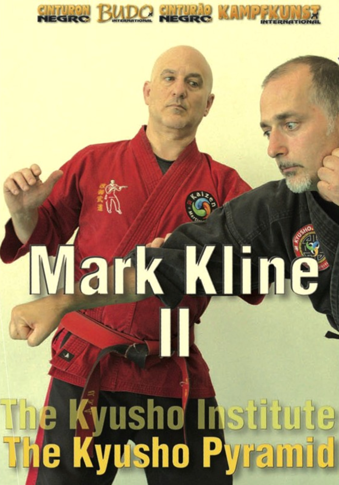 Kyusho Pyramid DVD 2 with Mark Kline - Budovideos Inc