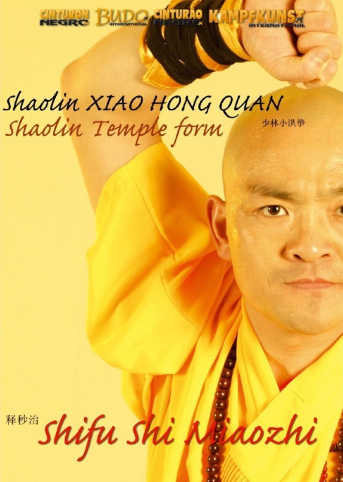 Shaolin Xiao Hong Quan Form Tao Lu DVD by Shi Miaozhi - Budovideos Inc