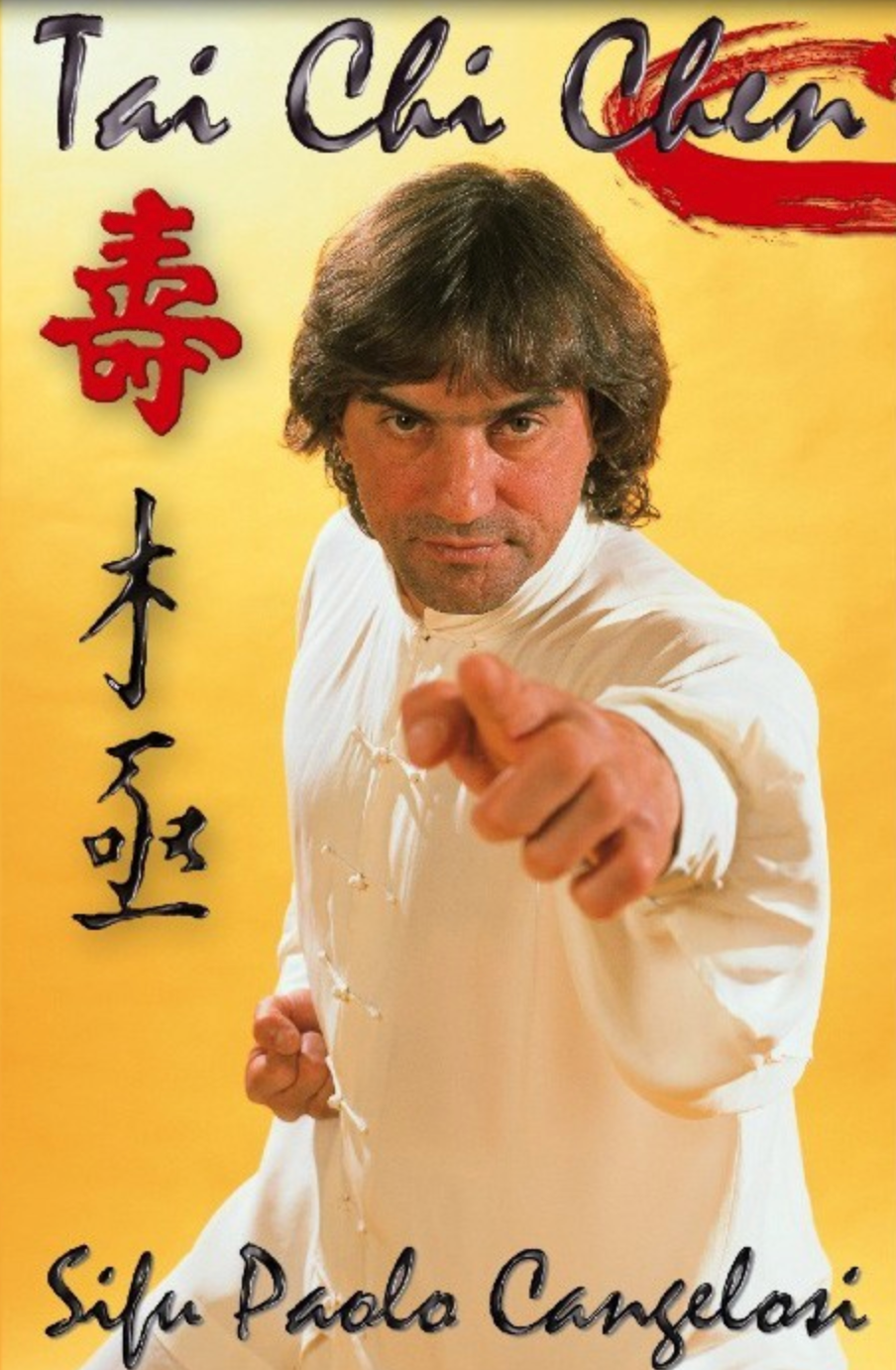 Tai Chi Chen Xia Jia Pao Chuie Form DVD with Paulo Cangelosi - Budovideos Inc