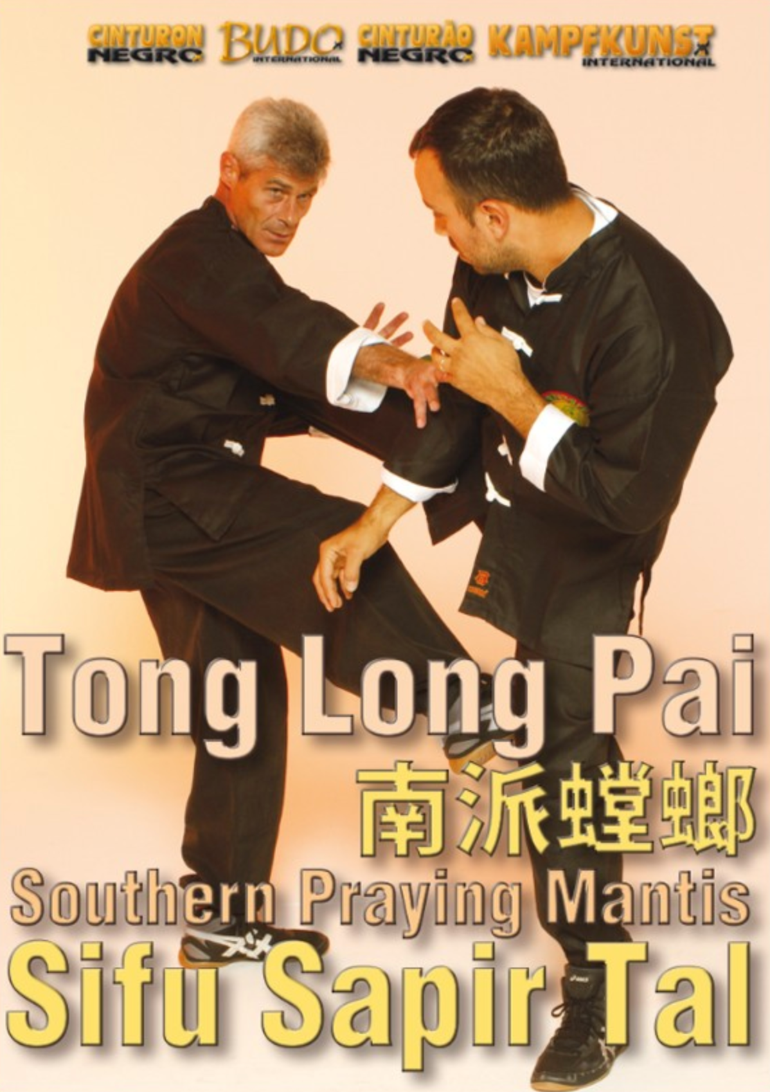 Tong Long Pai Southern Praying Mantis DVD by Sapir Tai - Budovideos Inc