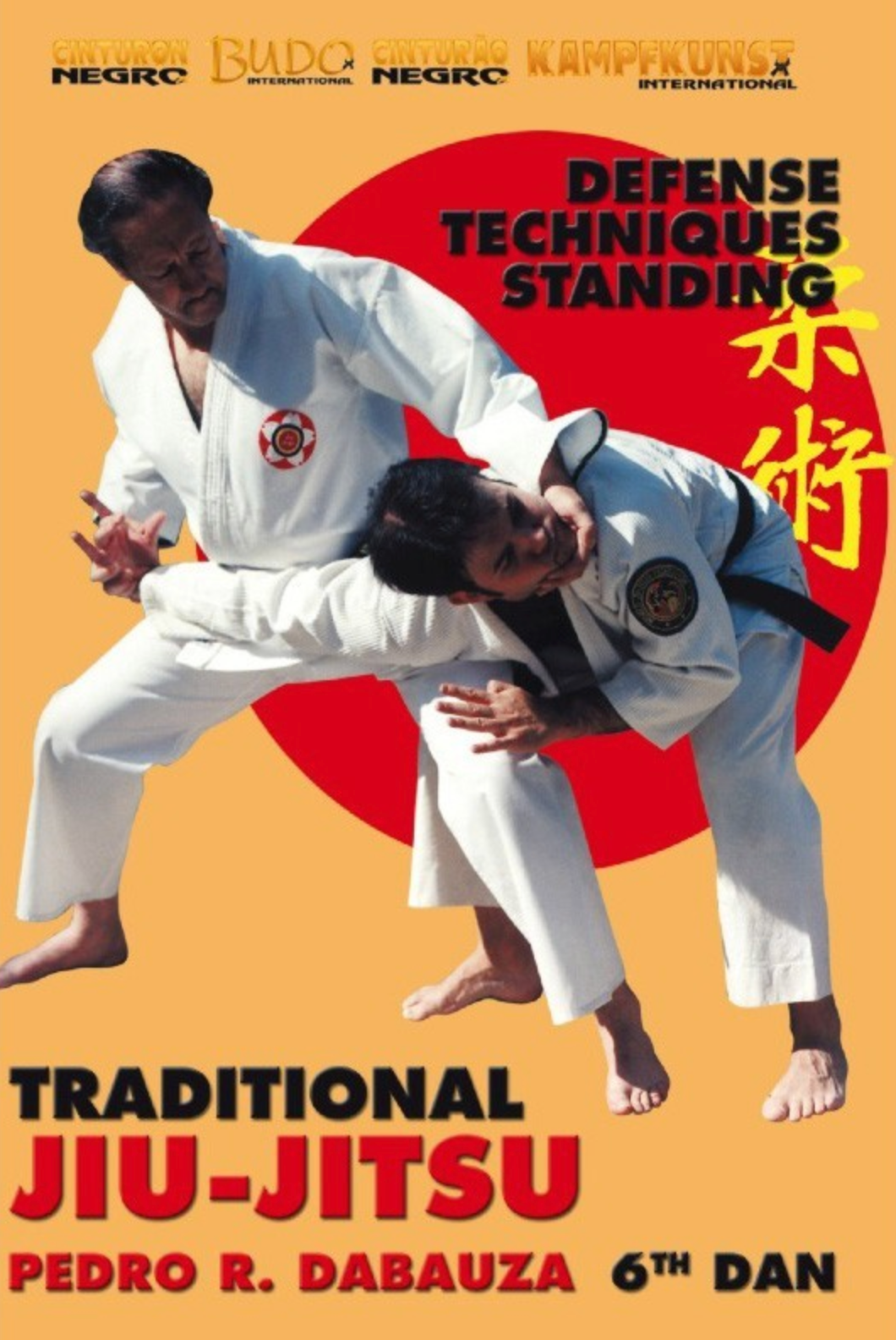 Traditional Ju Jitsu Vol 3 Standing Techniques DVD with Pedro Dabauza - Budovideos Inc