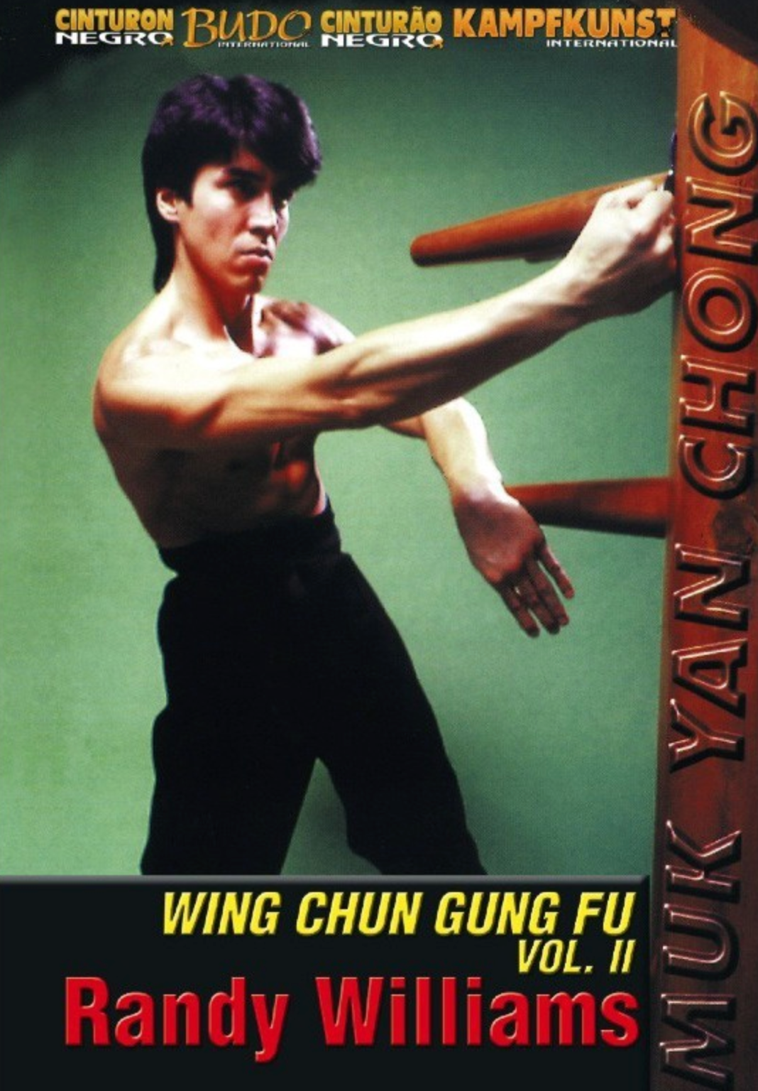 Wing Chun Wooden Dummy Form Part 2 DVD by Randy Williams - Budovideos Inc