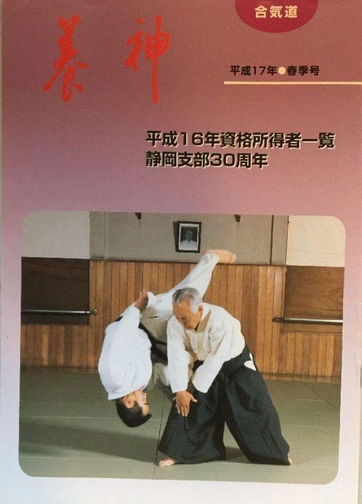 Yoshin Magazine Spring 2005 (Yoshinkan Aikido) (Preowned) - Budovideos Inc