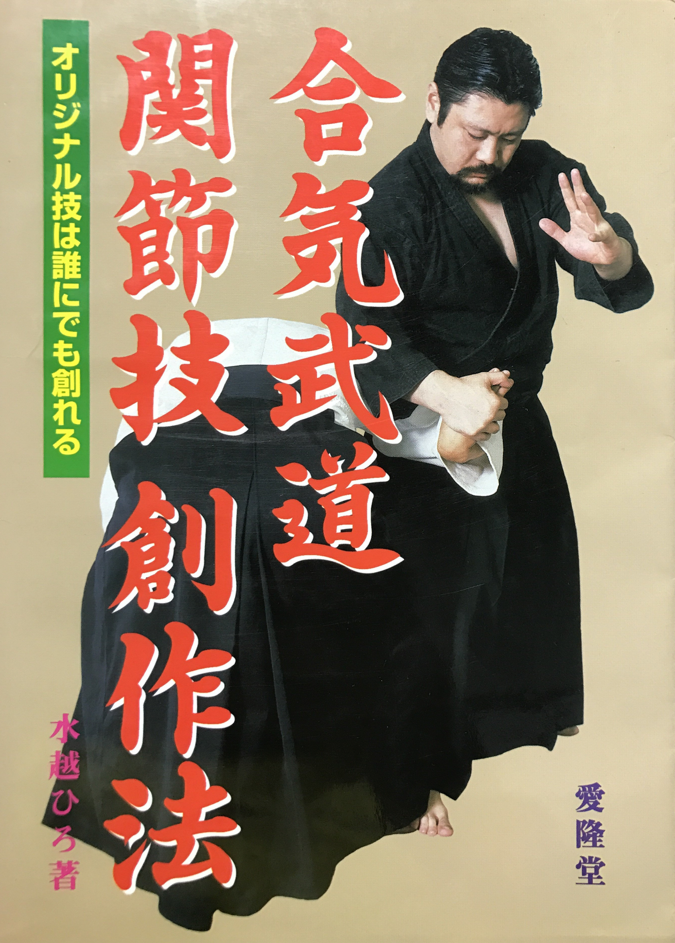 Aiki Budo Joint Lock Book by Hiro Mizukoshi (Preowned) - Budovideos Inc