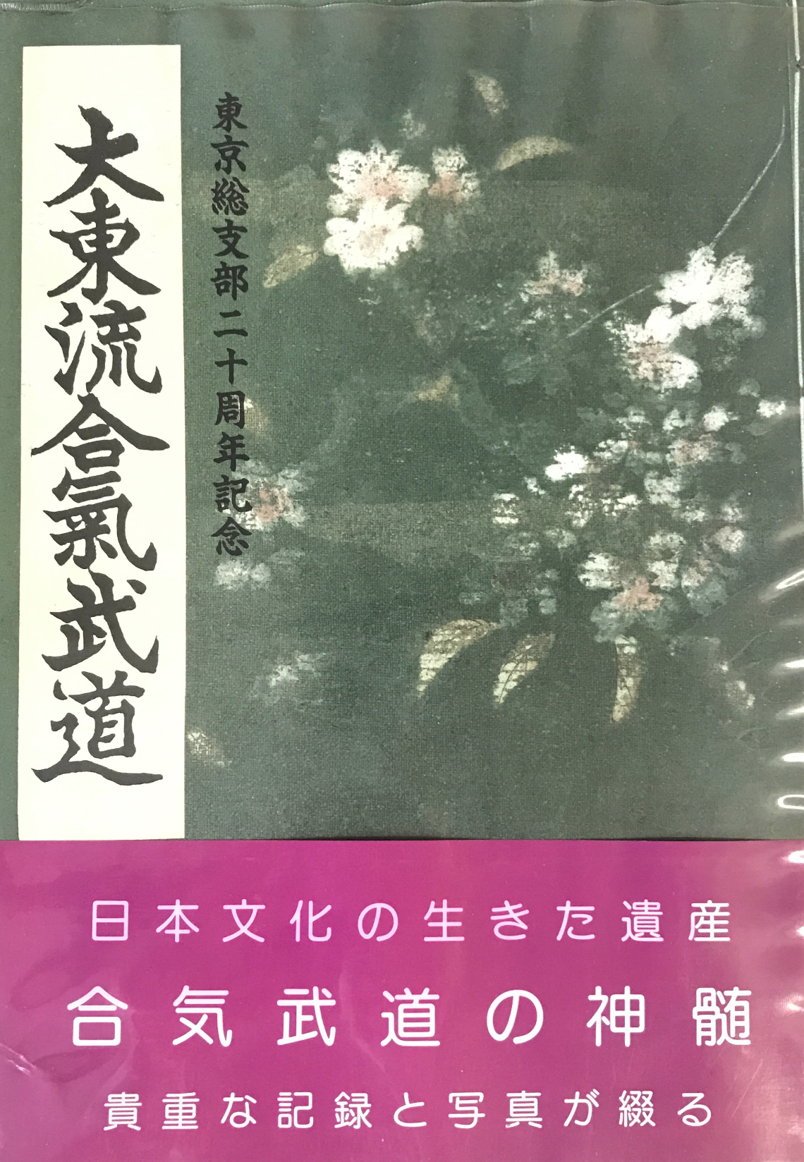 Daito Ryu Aikijujutsu Tokyo Branch 20th Anniversary Book (Preowned) - Budovideos Inc