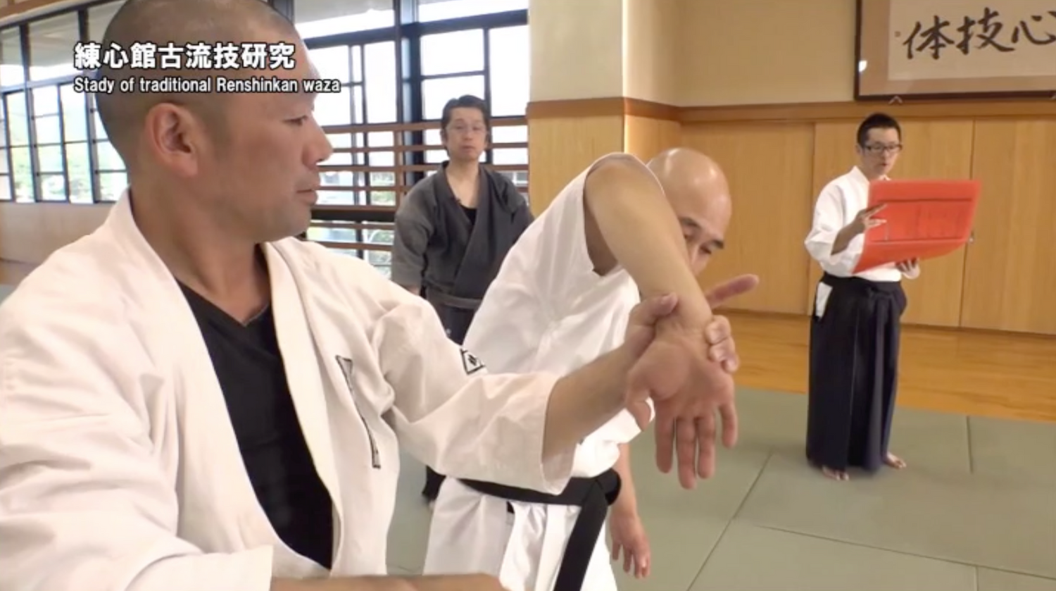 Daito Ryu Aikijujutsu Renshinkan DVD 3 by Michio Takase - Budovideos Inc