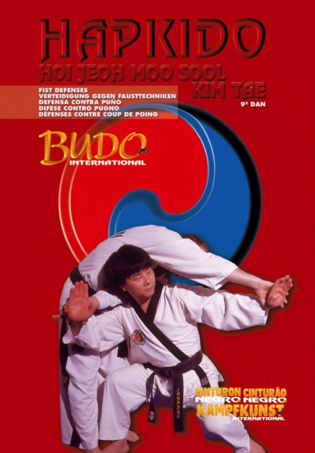 Hapkido Hoi Jeon Moo Sool Vol 2 DVD with Kim Seong Tae - Budovideos Inc