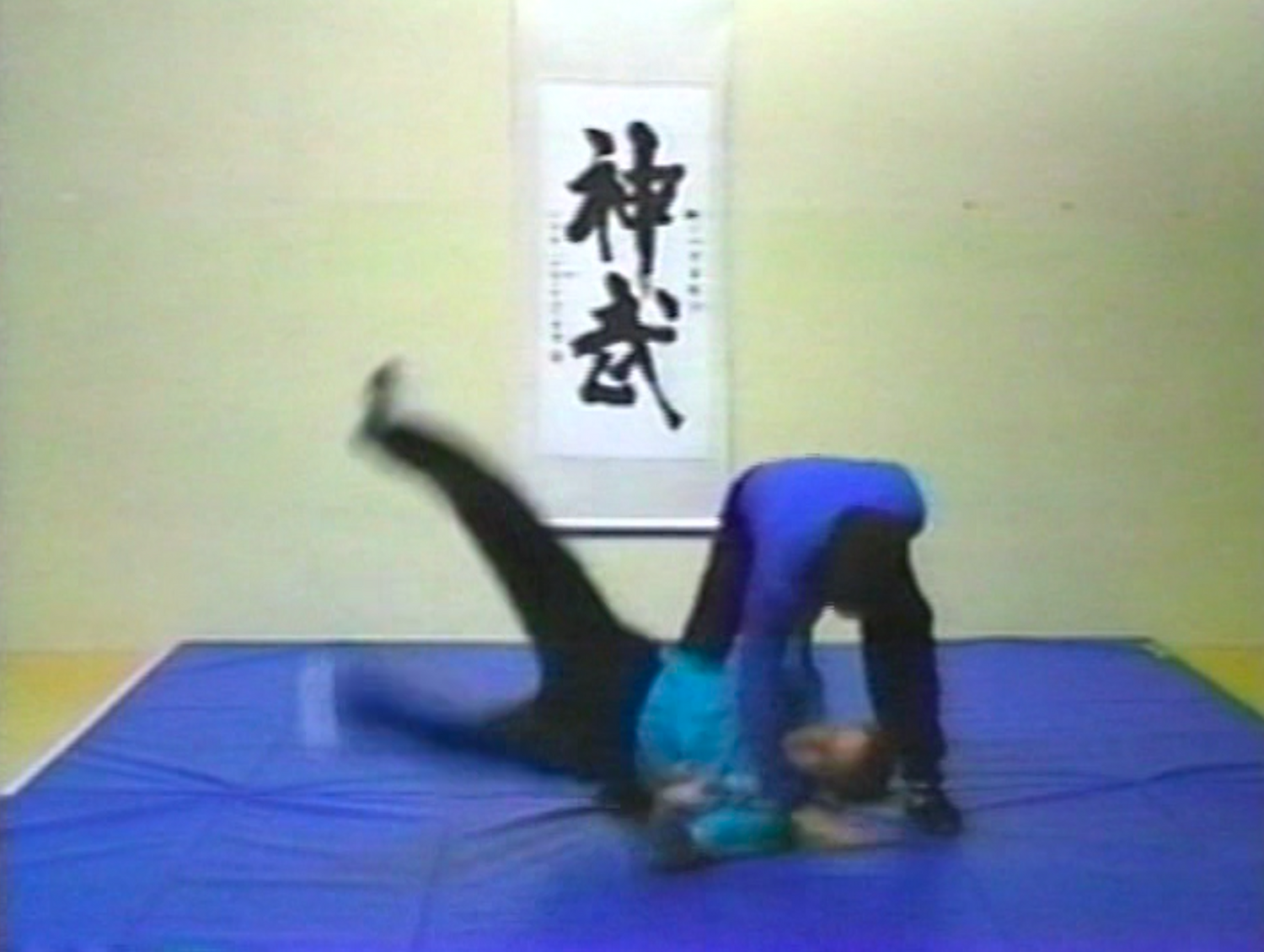 Principles, Analysis & Application of Effortless Combat Throws DVD by Tim Cartmell (Preowned) - Budovideos