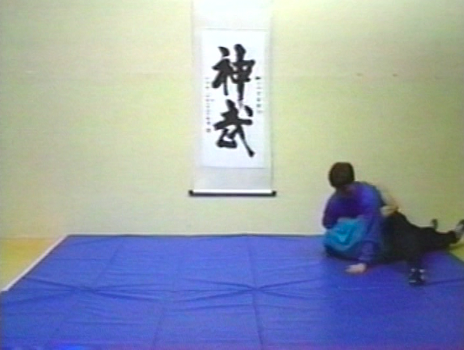 Principles, Analysis & Application of Effortless Combat Throws DVD by Tim Cartmell (Preowned) - Budovideos
