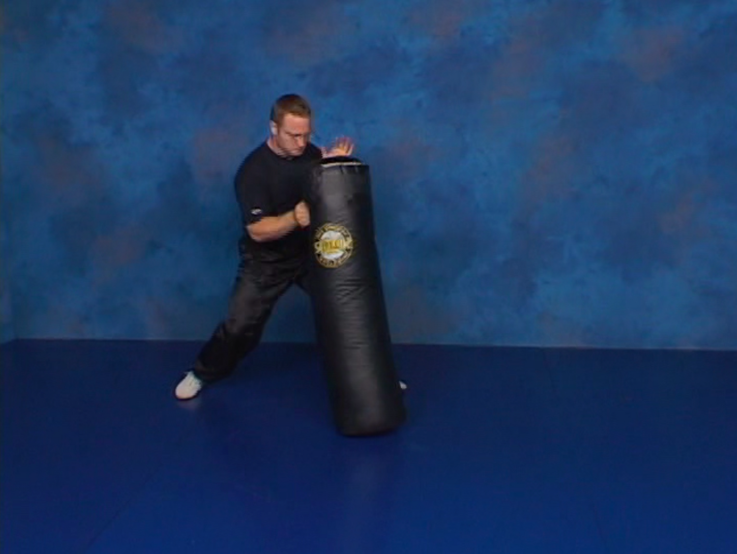 Combat Sanshou: The Punishing Chinese Fighting Art 6 DVD Set by Wim Demeere (Preowned) - Budovideos