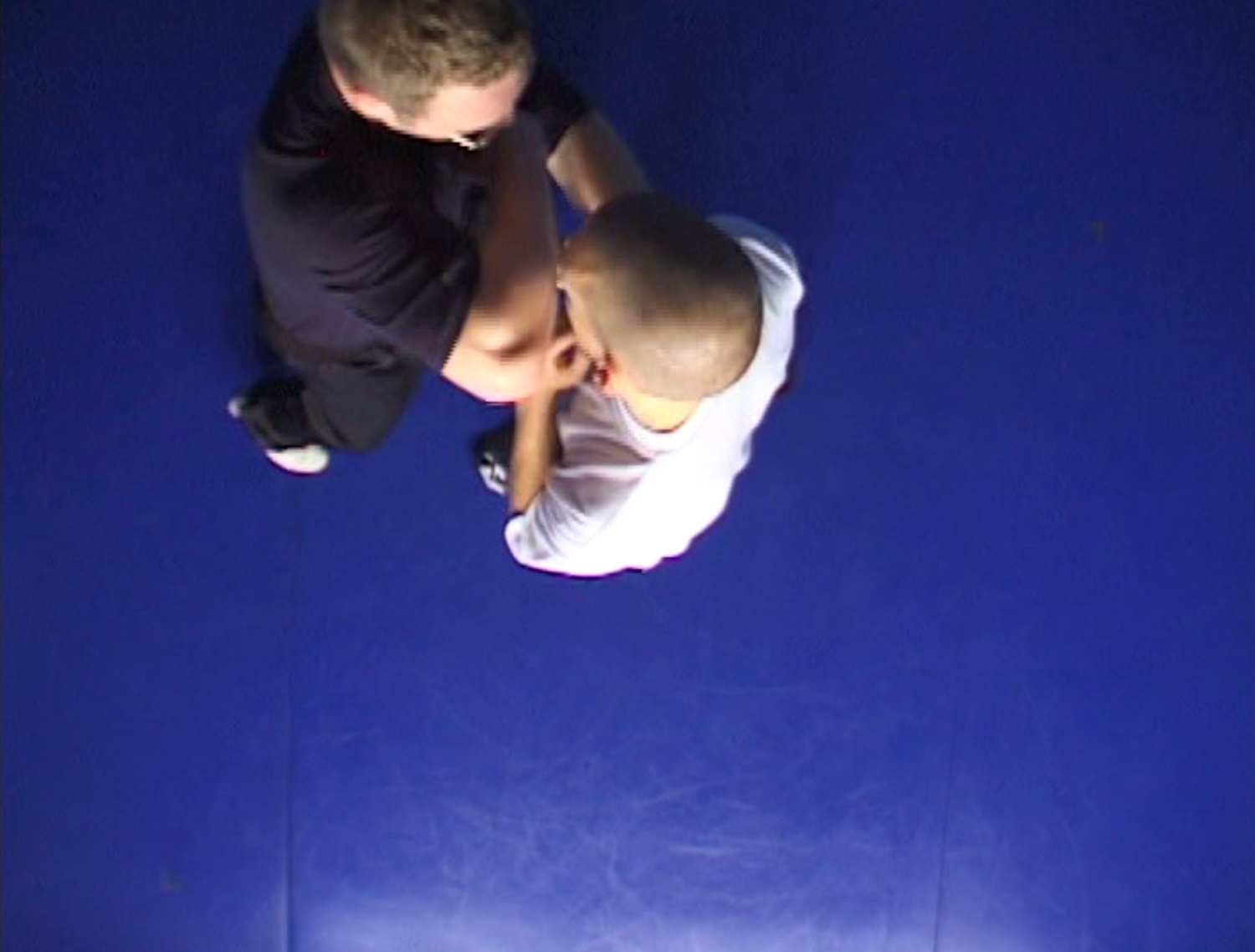 Combat Sanshou: The Punishing Chinese Fighting Art 6 DVD Set by Wim Demeere (Preowned) - Budovideos