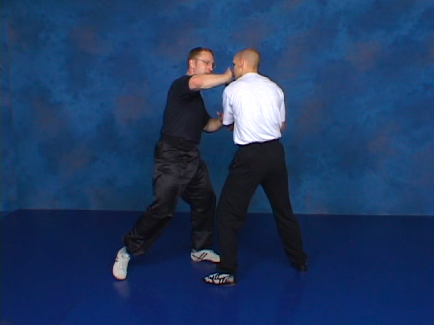Combat Sanshou: The Punishing Chinese Fighting Art 6 DVD Set by Wim Demeere (Preowned) - Budovideos