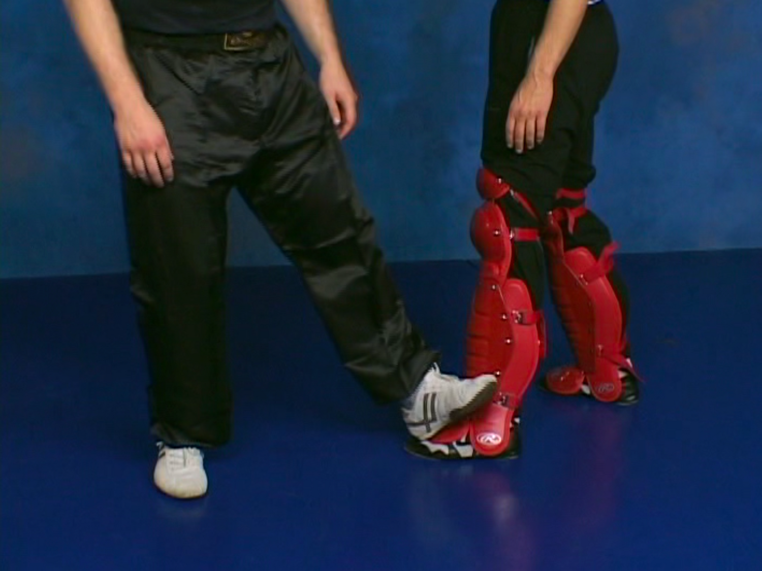 Combat Sanshou: The Punishing Chinese Fighting Art 6 DVD Set by Wim Demeere (Preowned) - Budovideos
