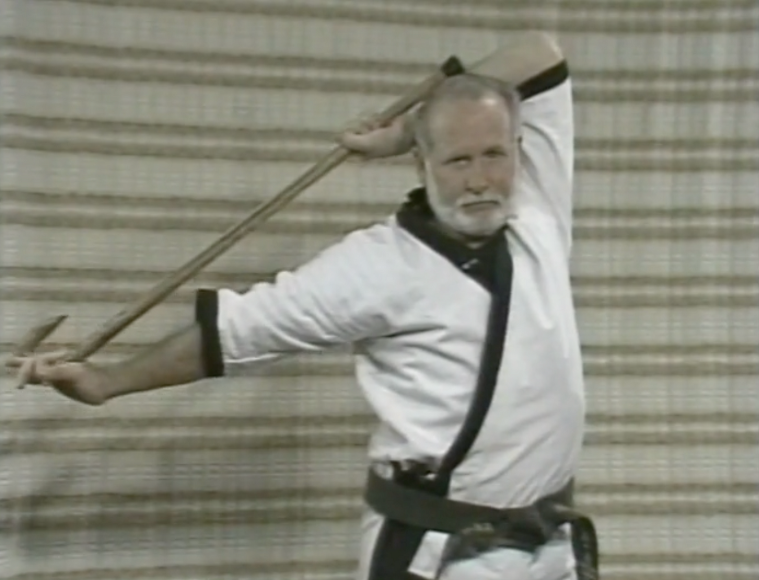 The Cane Master's Blocks, Swings, Jabs & More DVD by Mark Shuey Sr (Preowned) - Budovideos