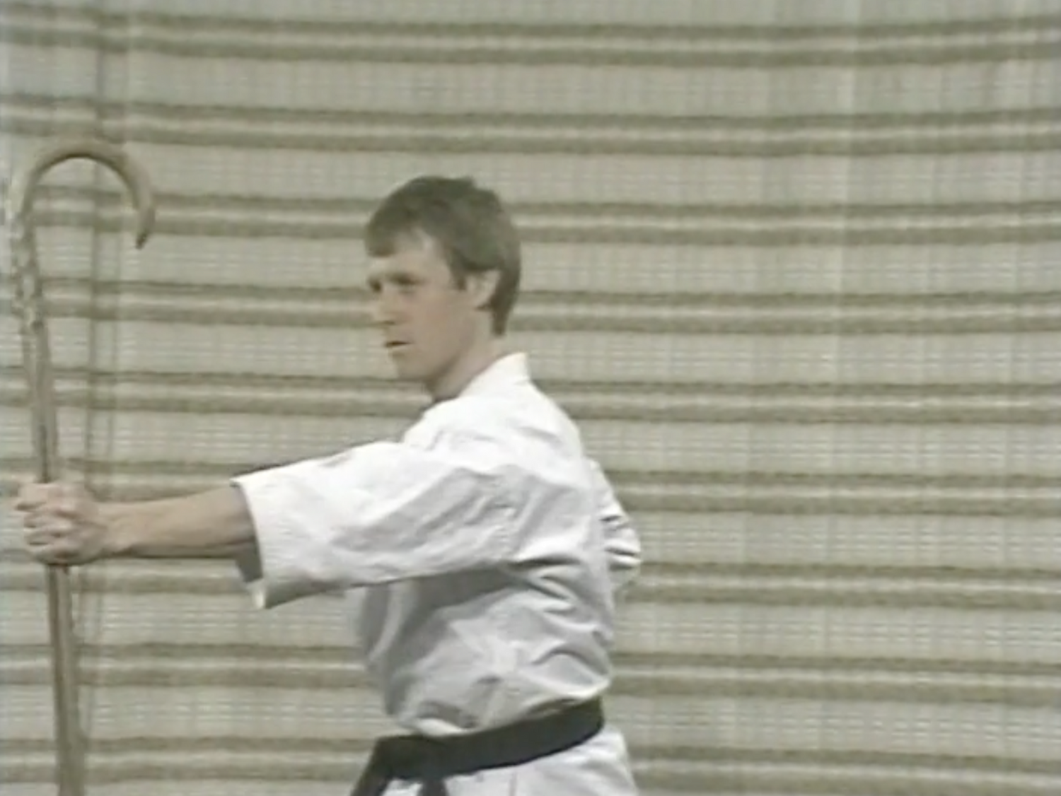 The Cane Master's Blocks, Swings, Jabs & More DVD by Mark Shuey Sr (Preowned) - Budovideos