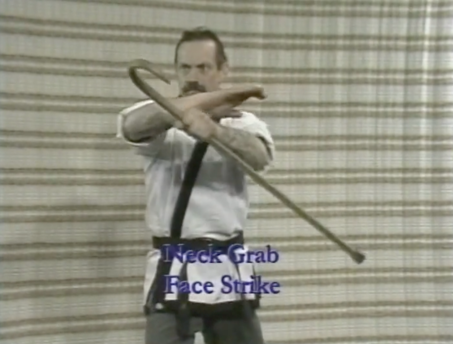 The Cane Master's Blocks, Swings, Jabs & More DVD by Mark Shuey Sr (Preowned) - Budovideos