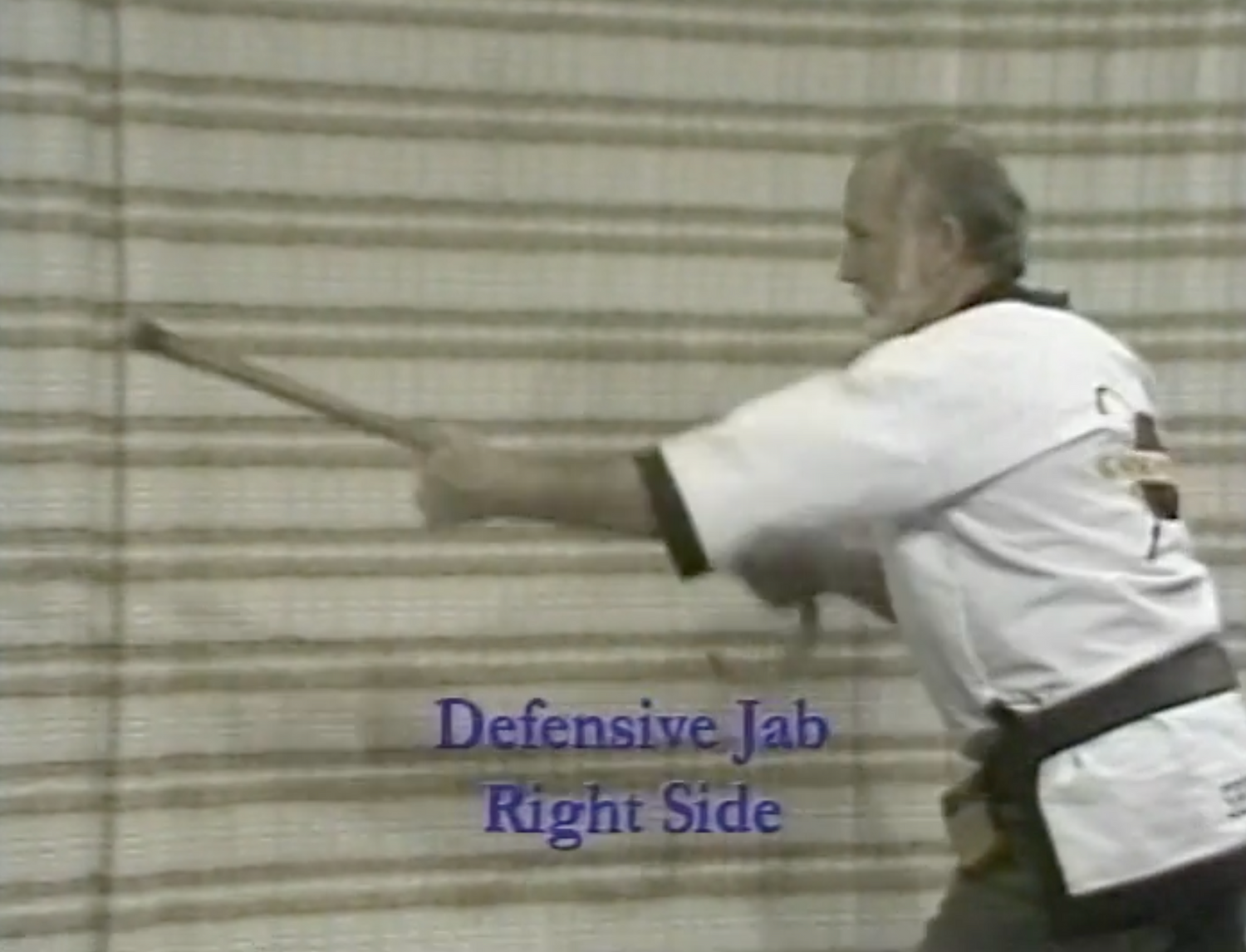 The Cane Master's Blocks, Swings, Jabs & More DVD by Mark Shuey Sr (Preowned) - Budovideos