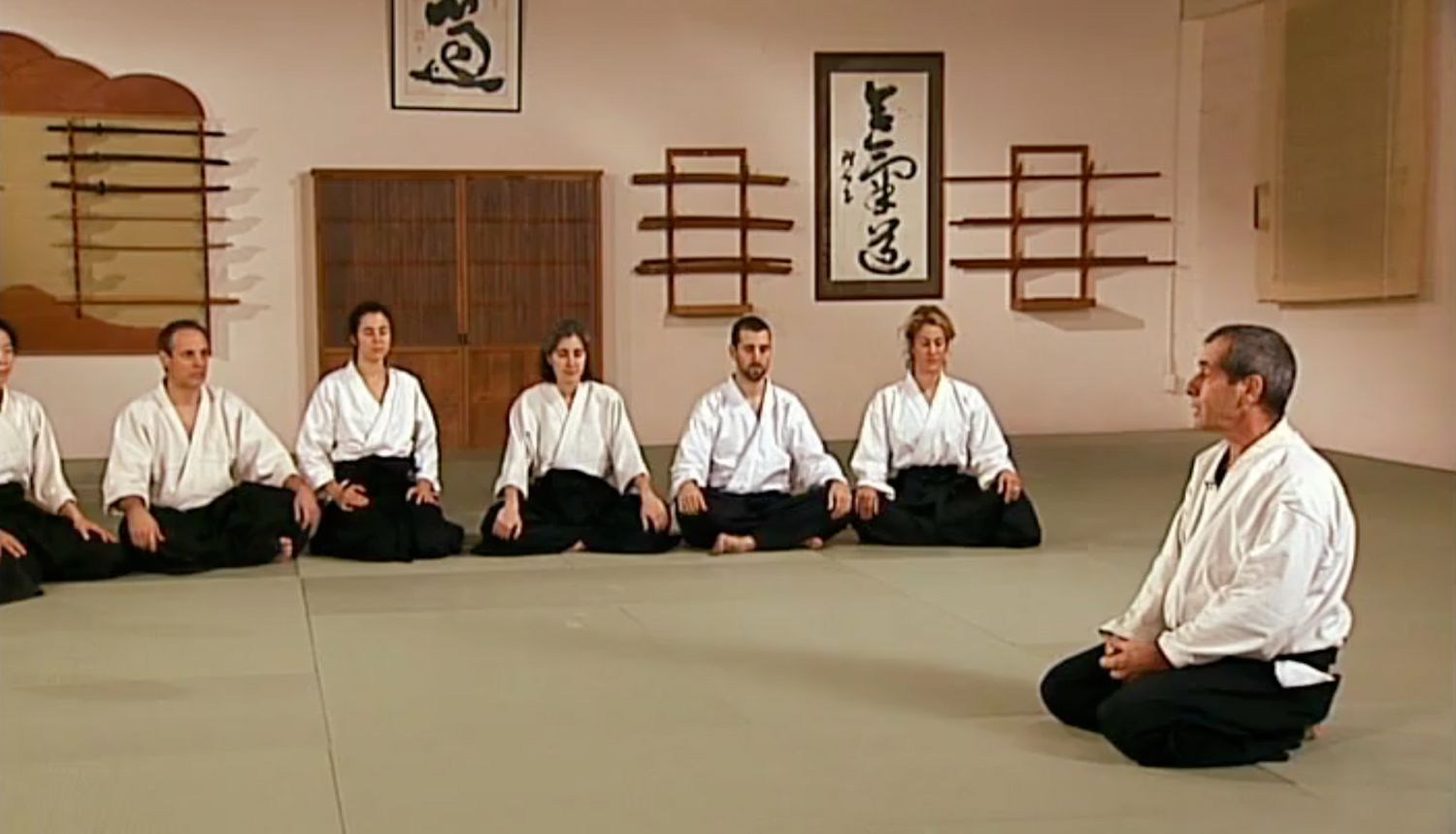 Aikido in Three Easy Lessons DVD by Richard Moon (Preowned) - Budovideos
